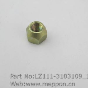 LZ111-3103109