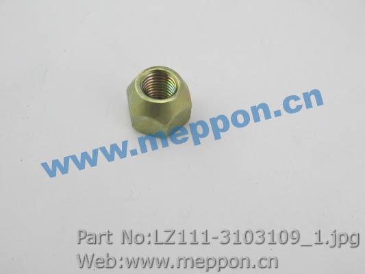 LZ111-3103109