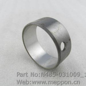 N485-031009