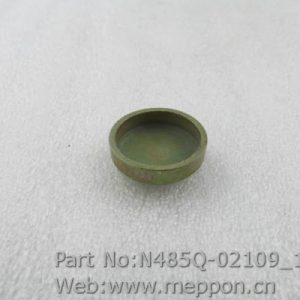 N485Q-02109