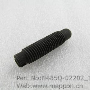 N485Q-02202