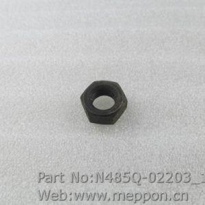 N485Q-02203
