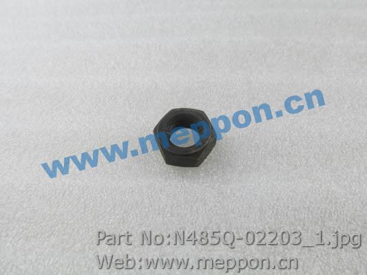 N485Q-02203