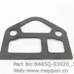 N485Q-03020