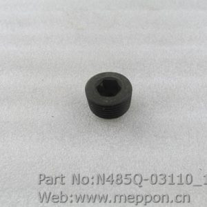 N485Q-03110