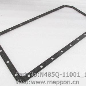 N485Q-11001