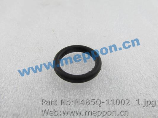 N485Q-11002