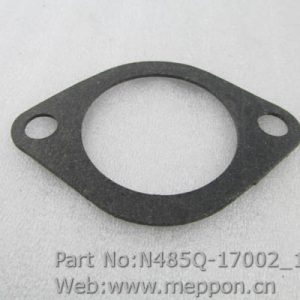 N485Q-17002