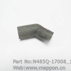 N485Q-17008