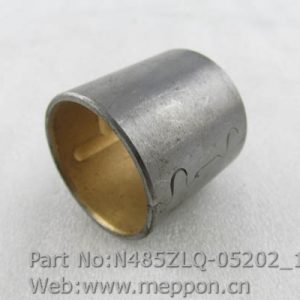 N485ZLQ-05202