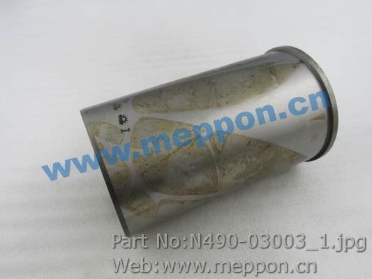 N490-03003