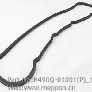 N490Q-01001(P)