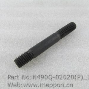N490Q-02020(P)