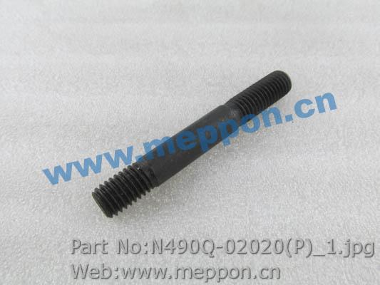 N490Q-02020(P)