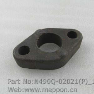 N490Q-02021(P)