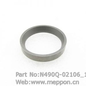 N490Q-02106