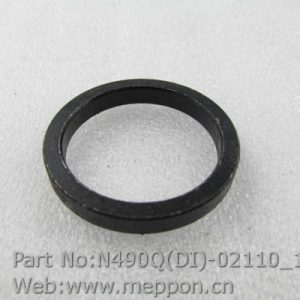 N490Q(DI)-02110