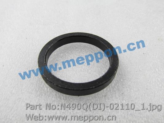 N490Q(DI)-02110