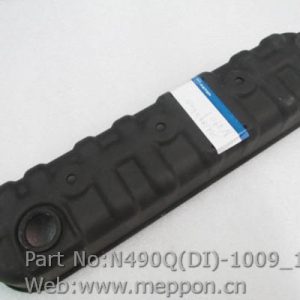 N490Q(DI)-1009