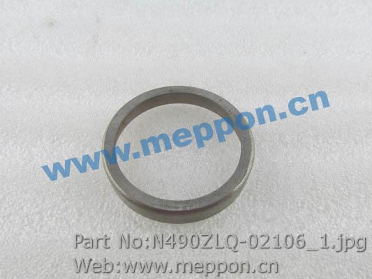 N490ZLQ-02106