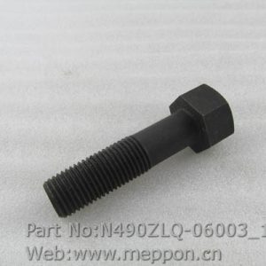 N490ZLQ-06003