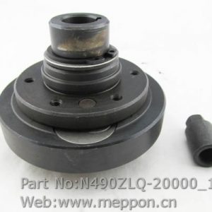 N490ZLQ-20000