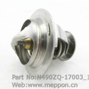 N490ZQ-17003