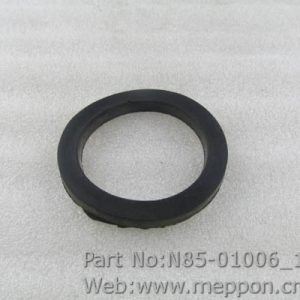N85-01006