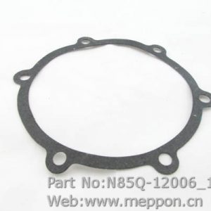 N85Q-12006
