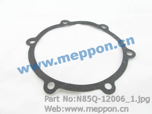 N85Q-12006