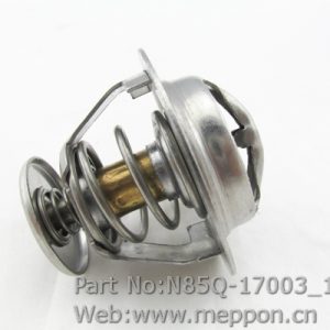 N85Q-17003
