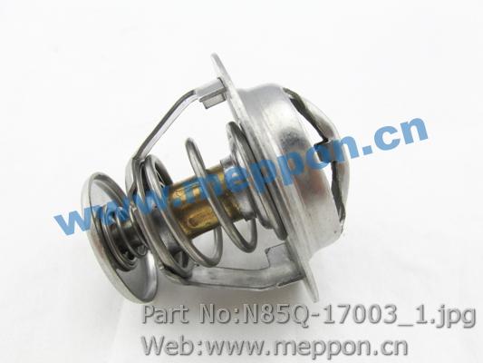 N85Q-17003
