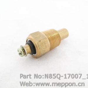 N85Q-17007