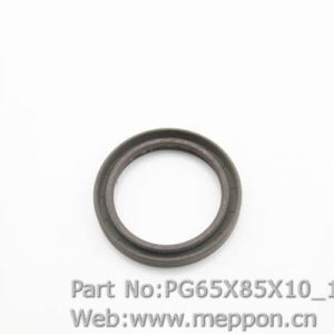 PG65X85X10