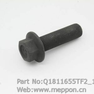 Q1811655TF2