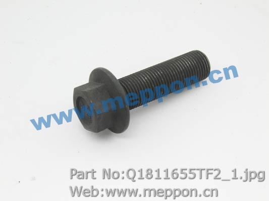 Q1811655TF2