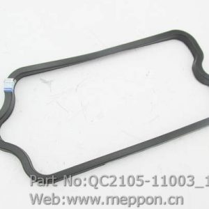 QC2105-11003