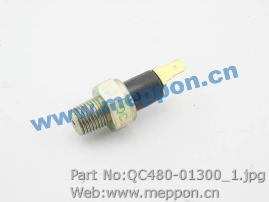 QC480-01300