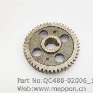 QC480-02006