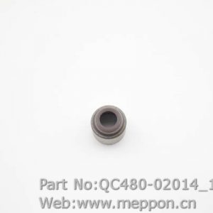 QC480-02014