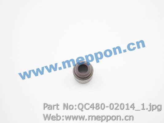 QC480-02014