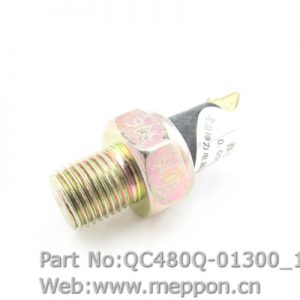 QC480Q-01300