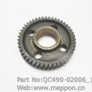 QC490-02006