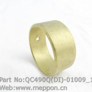 QC490Q(DI)-01009