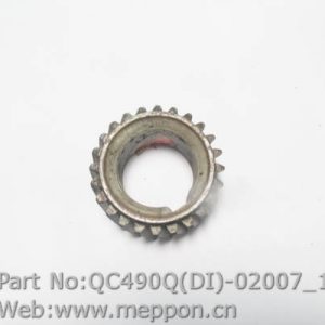 QC490Q(DI)-02007