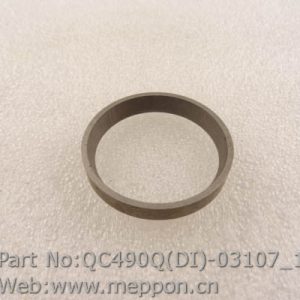 QC490Q(DI)-03107