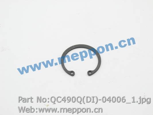 QC490Q(DI)-04006