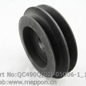 QC490Q(DI)-05006-1