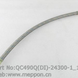 QC490Q(DI)-24300-1