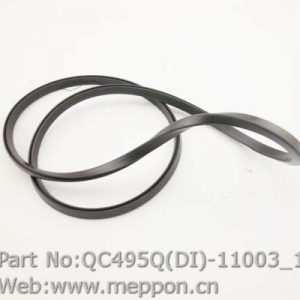 QC495Q(DI)-11003